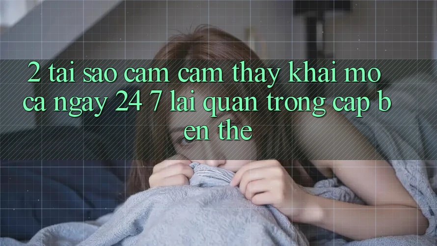 2. Tại Sao Cảm cảm thấy “Khai mở Cả Ngày” (24/7) Lại Quan Trọng Cập bến Thế? 2. Tại Sao Cảm cảm thấy “Khai mở Cả Ngày” (24/7) Lại Quan Trọng Cập bến Thế?