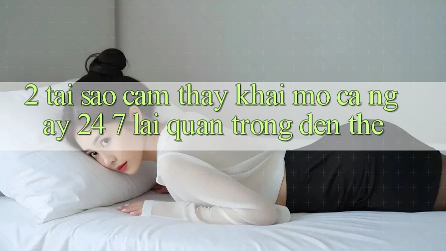 2. Tại Sao Cảm thấy “Khai mở Cả Ngày” (24/7) Lại Quan Trọng Đến Thế? 2. Tại Sao Cảm thấy “Khai mở Cả Ngày” (24/7) Lại Quan Trọng Đến Thế?