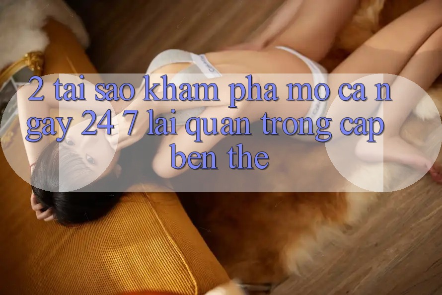 2. Tại Sao Khám phá “Mở Cả Ngày” (24/7) Lại Quan Trọng Cập bến Thế?