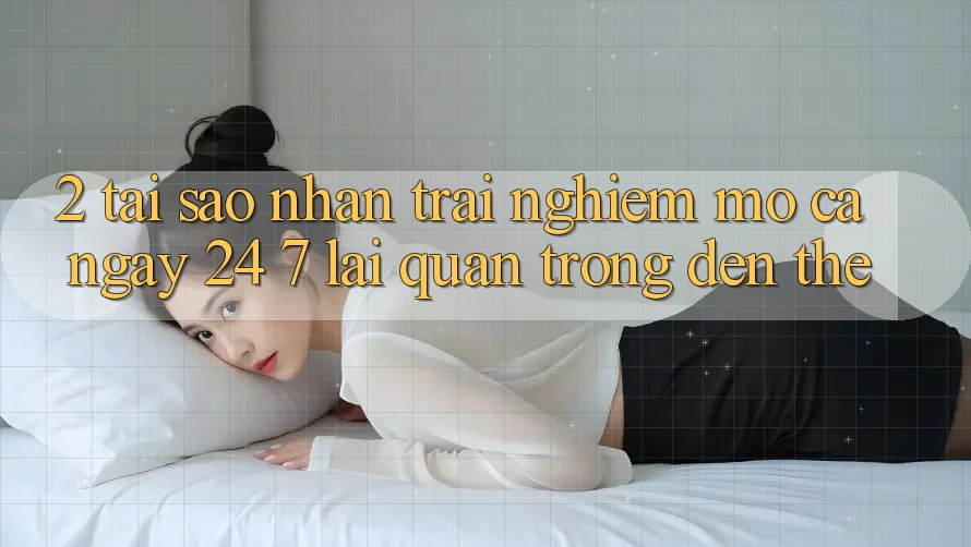 2. Tại Sao Nhận trải nghiệm “Mở Cả Ngày” (24/7) Lại Quan Trọng Đến Thế? 2. Tại Sao Nhận trải nghiệm “Mở Cả Ngày” (24/7) Lại Quan Trọng Đến Thế?