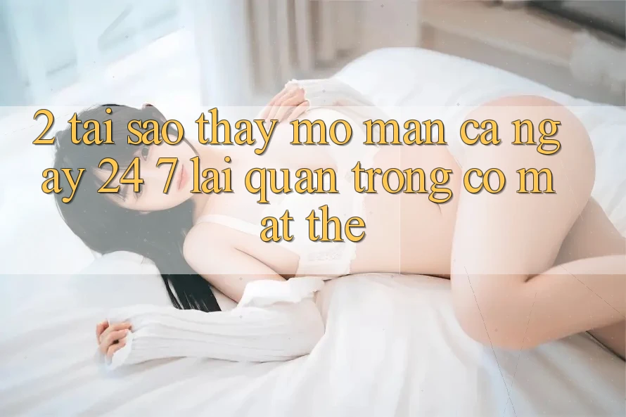 2. Tại Sao Thấy “Mở màn Cả Ngày” (24/7) Lại Quan Trọng Có mặt Thế?