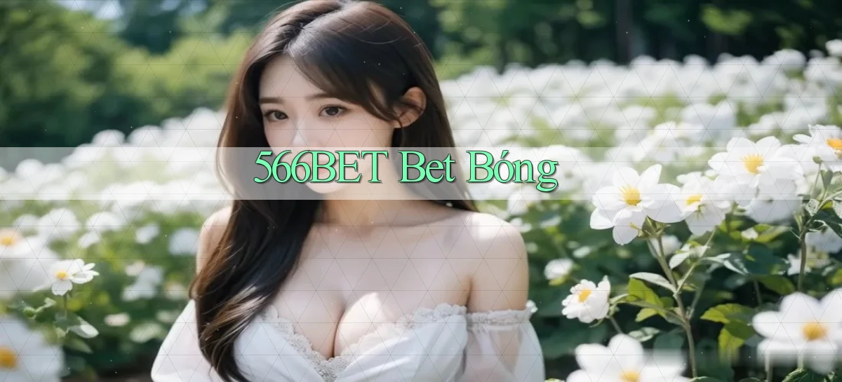 566bet bet bóng