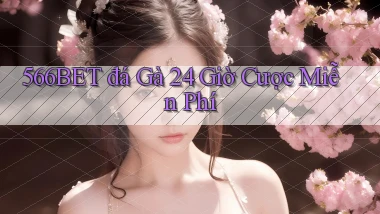 566bet  đá gà 24 giờ cược miễn phí