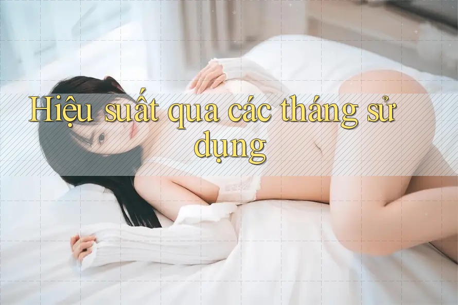 Hiệu suất qua các tháng sử dụng