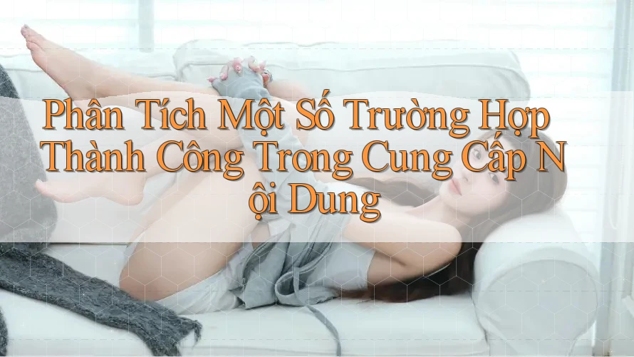 Phân Tích Một Số Trường Hợp Thành Công Trong Cung Cấp Nội Dung Phân Tích Một Số Trường Hợp Thành Công Trong Cung Cấp Nội Dung